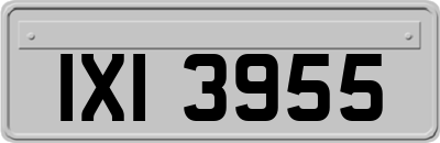 IXI3955