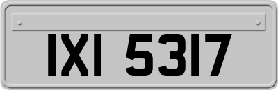 IXI5317