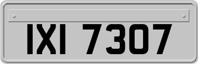 IXI7307