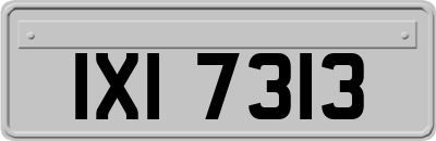 IXI7313