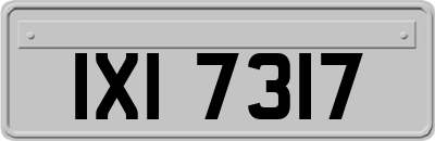 IXI7317