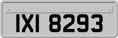 IXI8293