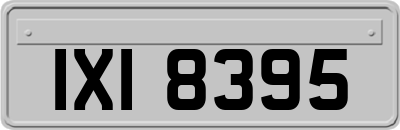 IXI8395