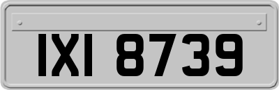 IXI8739
