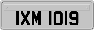 IXM1019