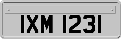 IXM1231