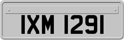 IXM1291