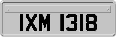 IXM1318