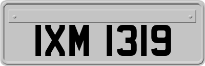 IXM1319