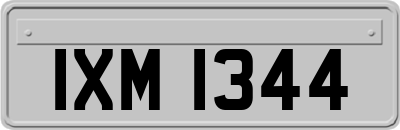 IXM1344