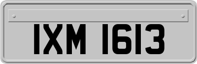IXM1613