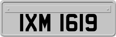 IXM1619