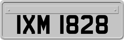 IXM1828