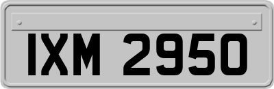 IXM2950