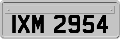 IXM2954