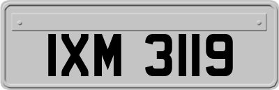 IXM3119