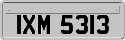 IXM5313
