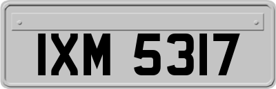 IXM5317