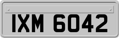 IXM6042