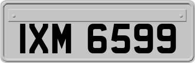 IXM6599