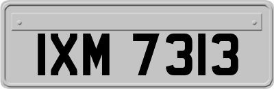 IXM7313