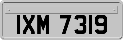 IXM7319