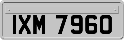 IXM7960