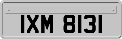 IXM8131