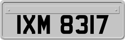 IXM8317