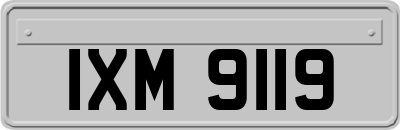 IXM9119