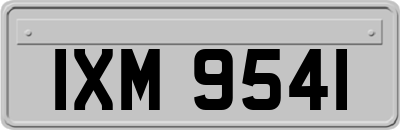 IXM9541