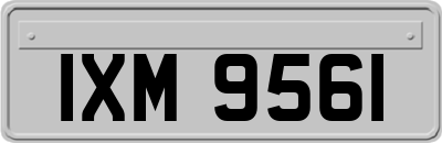 IXM9561