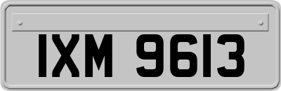 IXM9613