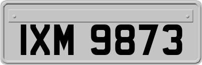 IXM9873