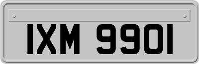 IXM9901