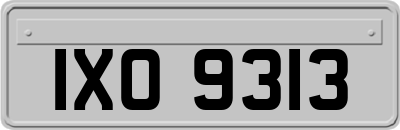 IXO9313