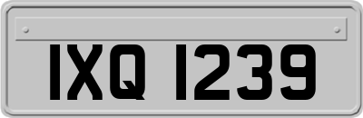 IXQ1239