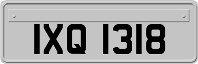 IXQ1318