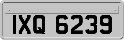 IXQ6239