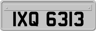 IXQ6313