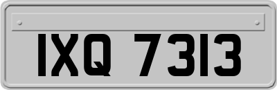 IXQ7313