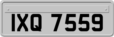 IXQ7559