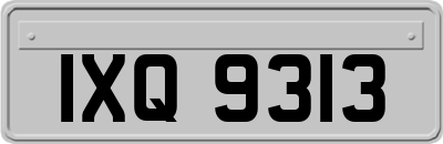 IXQ9313