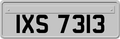 IXS7313