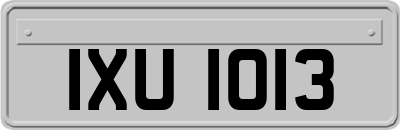 IXU1013
