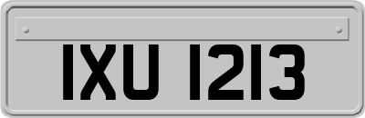 IXU1213