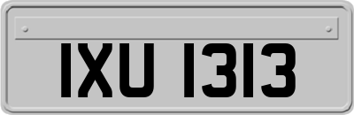 IXU1313