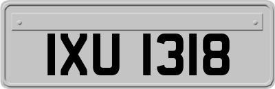 IXU1318