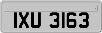 IXU3163