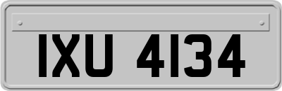 IXU4134